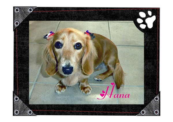 Hana 5