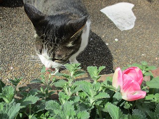 IMG_9405ss.jpg
