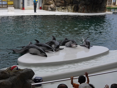 マリンワールド (2)