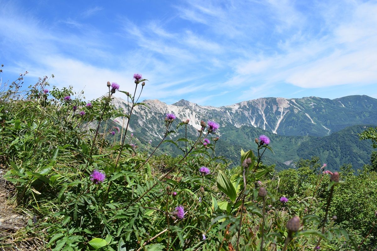 ★絶景北アルプスの唐松岳から・・ | 古ギャルの山登りとガーデニングで楽しく^^ - 楽天ブログ