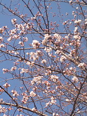 conv0599.JPG