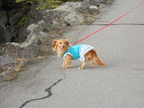 DSCN0149.JPG