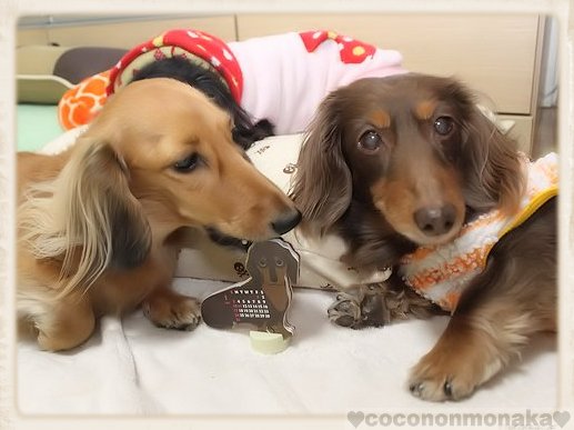 カレンダー