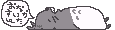 7975742[1].gif