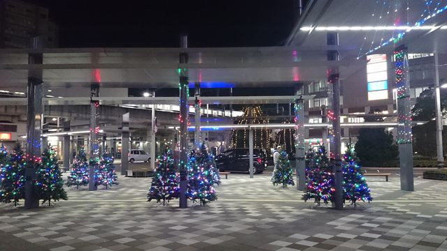 2015-11-30 18.45.15.jpg