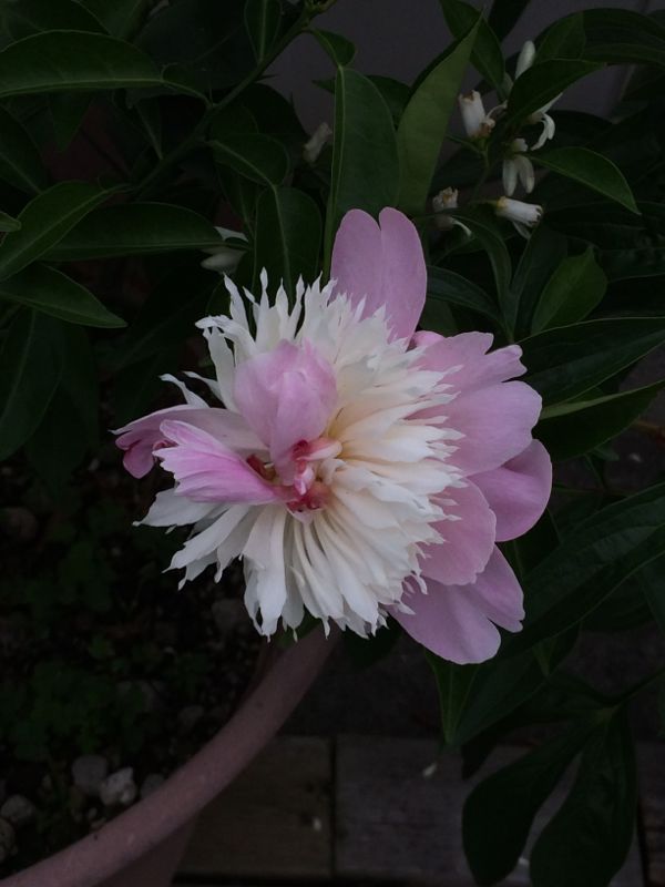 rblog-20140514112139-03.jpg