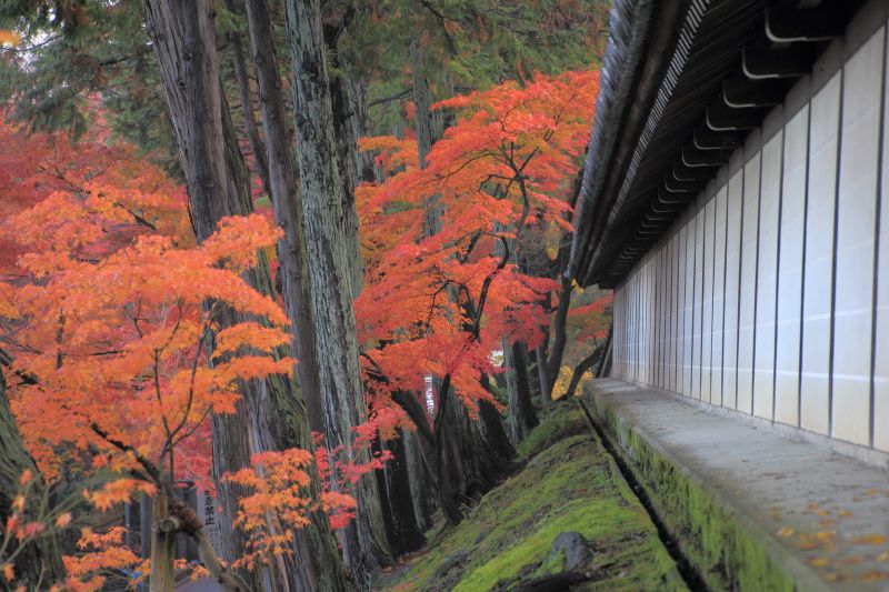 東福寺_006.jpg