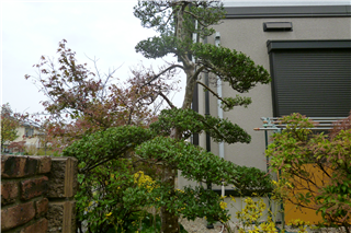 P1020903.png