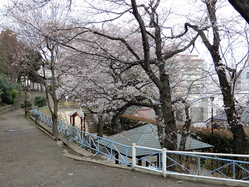 たぬき山公園にて