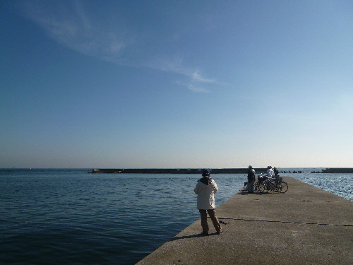 P1150148(1).JPG