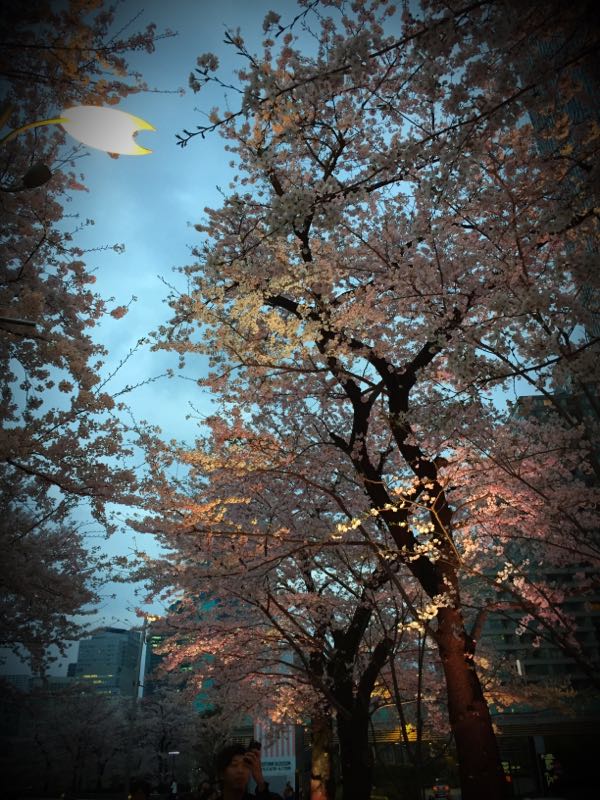 rblog-20160401183512-07.jpg