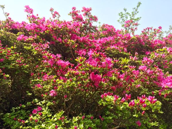 rblog-20160507182317-08.jpg