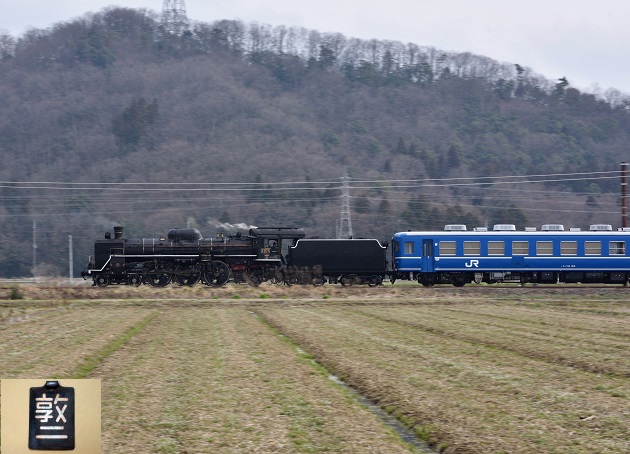 44 V.jpg