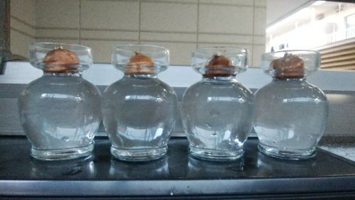 rblog-20171112211826-02.jpg