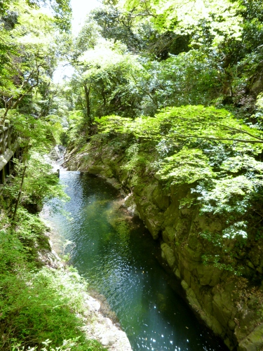 075 (375x500).jpg