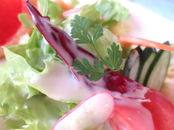 温泉レタスサラダ