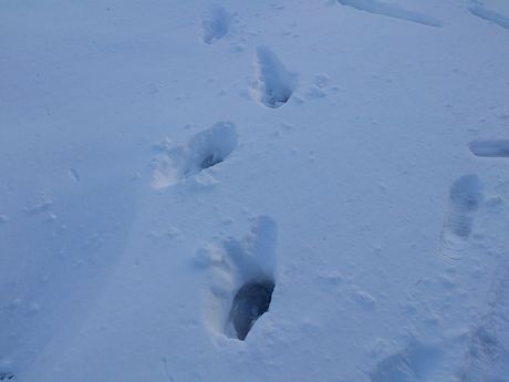 DSC_1436.jpg