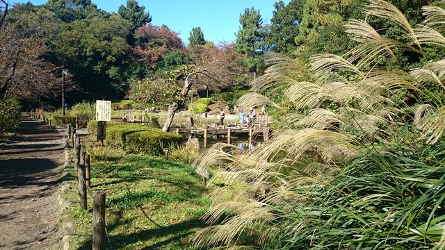 2015-11-03 13.36.48.jpg