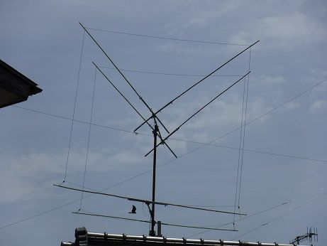 ２１ｍhz ２エレメントキュービカルクワッド自作 | チンチラオッペの山里探索紀行などその１ - 楽天ブログ