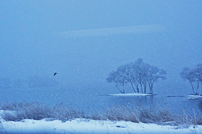雪３