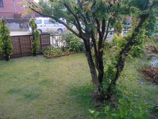 DSCN0445.JPG