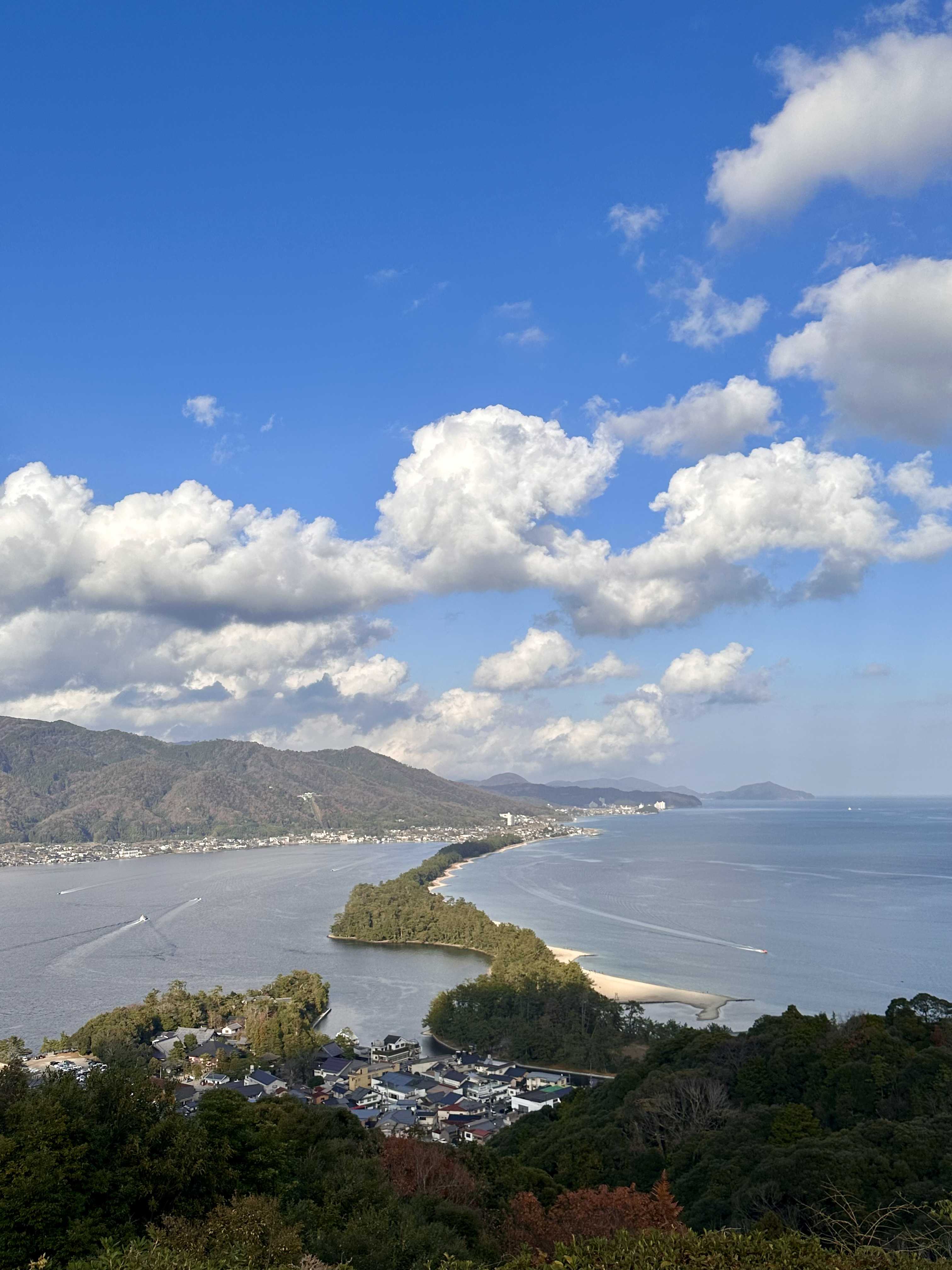 他人の不幸は蜜の味