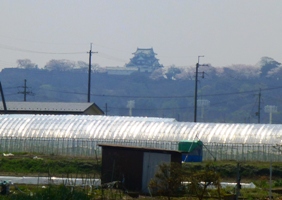 P1030464.JPG