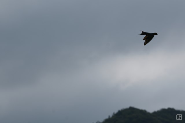 DSC05407_S.JPG
