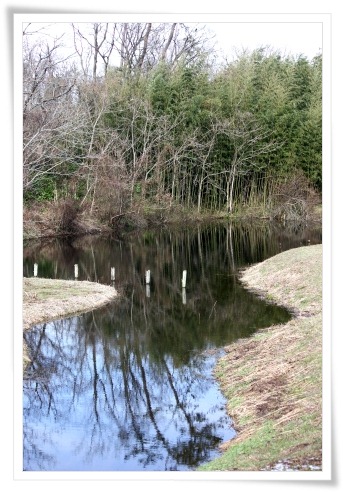 健民海浜公園-5 ササゴイの池観察舎-2 13.1.12