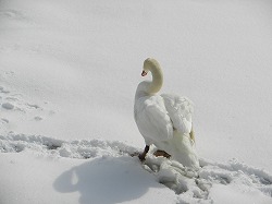 DSCN9934.jpg