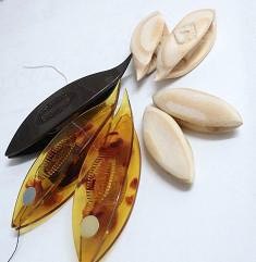 シャトル増殖