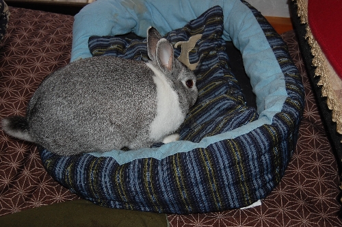 DSC_0009.JPG