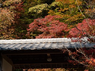 P1260758ss.jpg