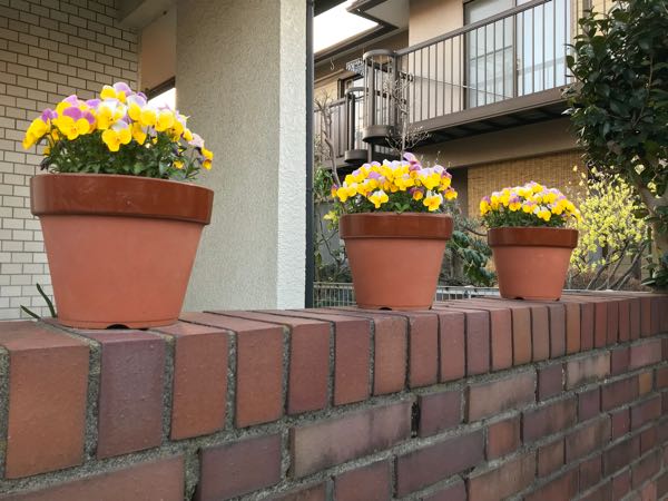 rblog-20180325184946-08.jpg