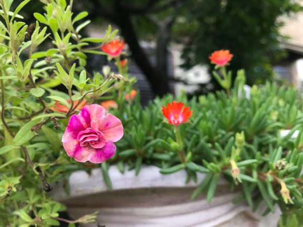 rblog-20180928161205-08.jpg