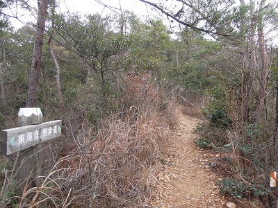 DSCN2768s.jpg