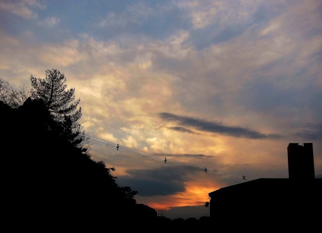 夕暮れ　2　130124.jpg