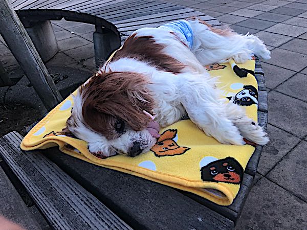 rblog-20180501184251-01.jpg