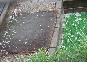 2017-09-25hyou1 (1).JPG