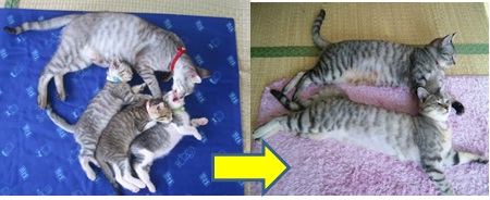 20120709_2.jpg