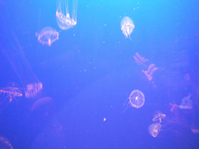 2012-11-20 09:07:38