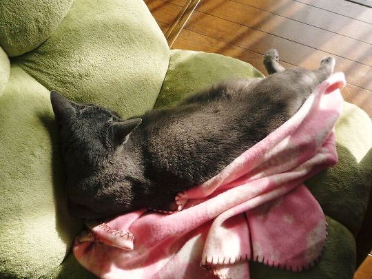2014年11月15日_P1210100.jpg