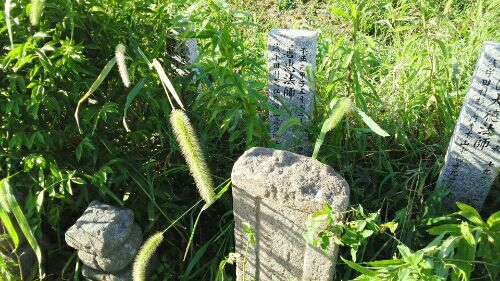 rblog-20170911115735-00.jpg