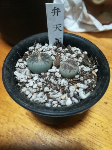 rblog-20171014210530-01.jpg