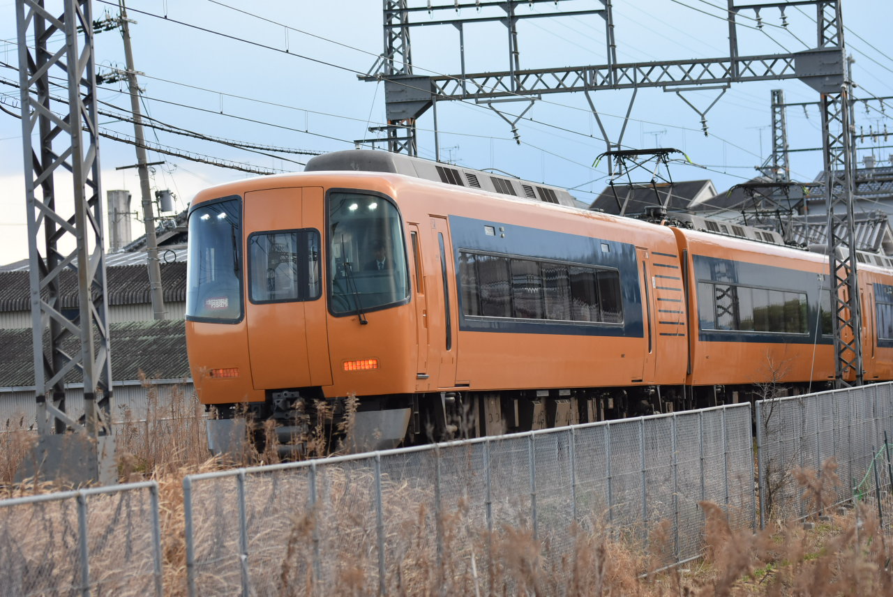 DSC_9528.JPG