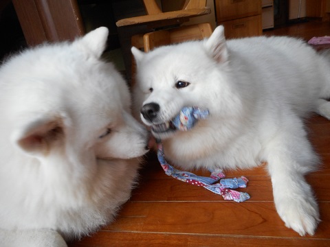 DSCN0560.JPG