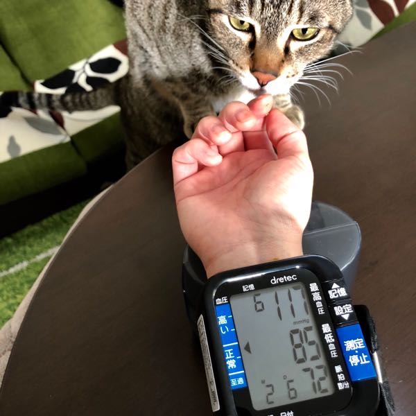 高低差で耳キーンなるわ 犬と旦那とiga ニャン 楽天ブログ