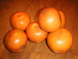 Citrus_tankan.jpg