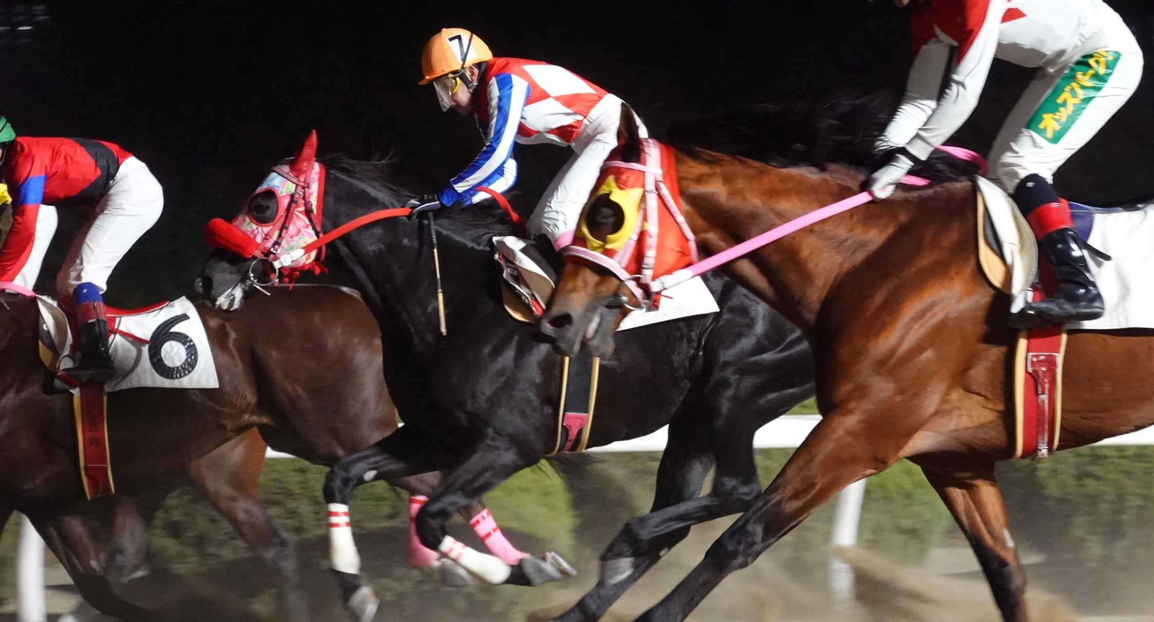 19ページ目の記事一覧 地方競馬の楽天競馬 日替わりライターブログ 楽天ブログ