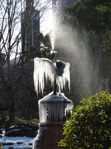 日比谷公園にて